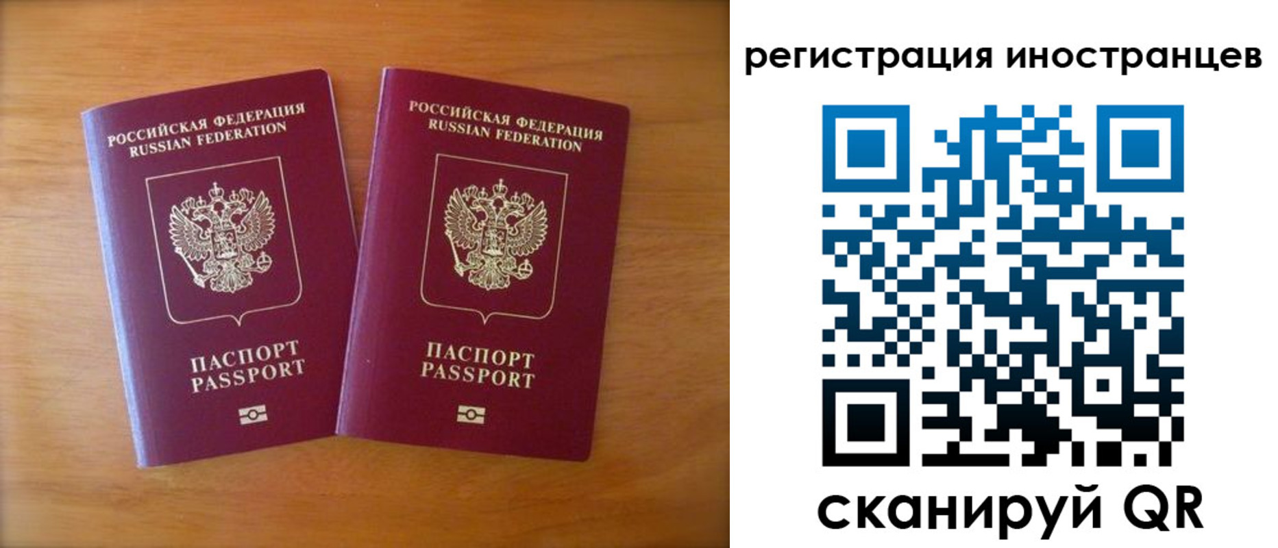 прописка поиск в Ростове